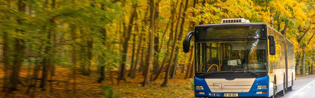 image 2026 02 19T165901.529 (1)